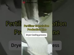 Profesyonel Paslanmaz Çelik Davul Döner Kurutma makinesi gübre üretim hattı ile